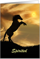 Birthday Customizable Wild Rearing Spirited Horse Happy Birthday card