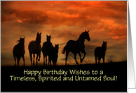 Birthday with Wild Horses Custom Cover card