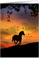Horse Sympathy Card