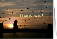 Thank you for pet sitting cat and birds -Customizable card