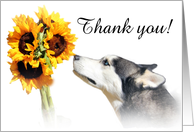 Thank you for pet sitting dog and sunflowers card