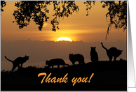 Thank you for pet sitting cats at sundown card