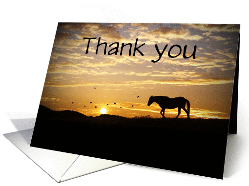 Thank you for the condolences sympathy horse in sunset... (1247462)