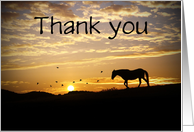 Thank you for the condolences sympathy horse in sunset card Customizab card