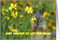 Thinking of you cute chipmunk Customizable card