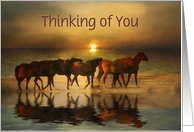 Thinking of you horses on the beach Customizable card