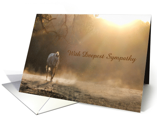 Loss of Horse Sympathy Customizeable Cover card (1261884)