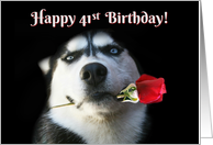 Happy Birthday Husky Dog With Rose Happy 41st Birthday card