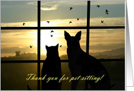 Thank you for pet sitting dog and cat in the sunset card