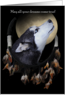 dream catcher husky happy birthday card