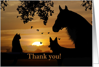 Thank you from Veterinarian card