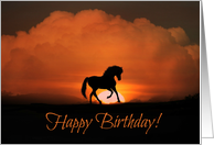 Happy Birthday Horse in Sunset card
