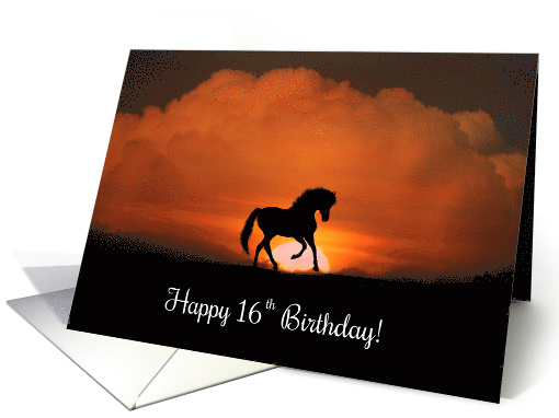 Happy 16th Birthday Horse in Sunset card (1276228)