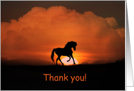 Thank you horse in sunset card