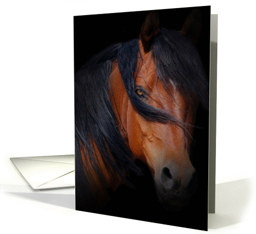 Missing you beautiful horse with golden eyes card (1276718)