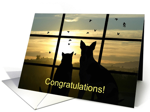 Congratulations on your pet adoption card (1278702)