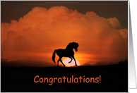 Congratulations on your new horse card