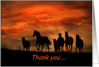 Thank you Veterinarian horses in the sunset card