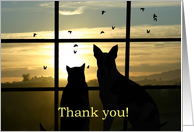 Thank you for volunteer at the animal shelter dog and cat in sunset card