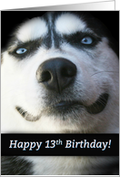 Happy 13th Birthday Smiling Husky Dog, Cute 13th Birthday, Turning 13 card