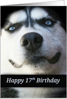 Happy 17th Birthday Smiling Husky Dog card