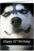Cute 33rd Birthday, Fun Smiling Husky Dog, Sweet Happy 33rd Bday card