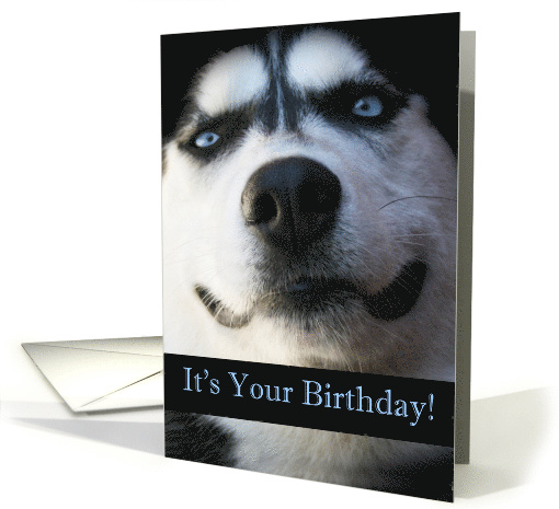 Happy Birthday Smiling Husky Dog card (1281524)