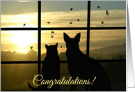 Congratulations on Becoming a Veterinarian card
