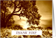 Antiqued Vineyard and Oak Tree Thank you card