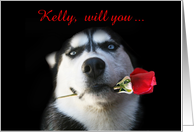 Will you marry me Siberian Husky with a Rose Customizable card