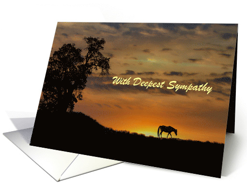 Sympathy Card with horse in the sunset customize card (1310352)