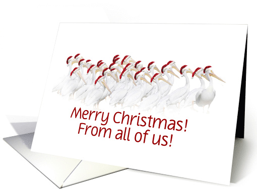 Merry Christmas from a Group Pelicans with Santa Hats Customize card