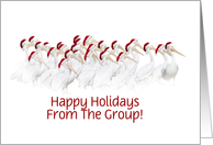 Happy Holidays from a Group Pelicans with Santa Hats Customize card