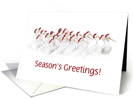 Seasons' Greetings Pelicans with Santa Hats Customize card (1311406)