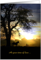 Bereavement thinking of you horse in the sunset customizeable card