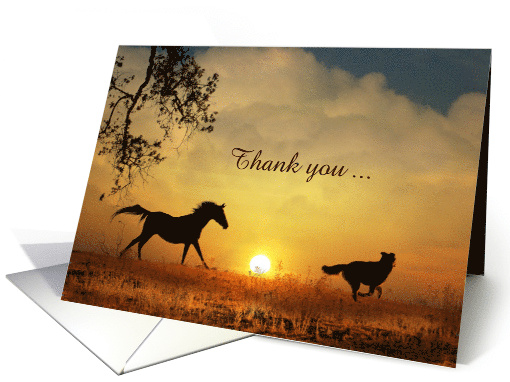 Horse & Dog in the Sunrise Thank You Customize card (1323060)