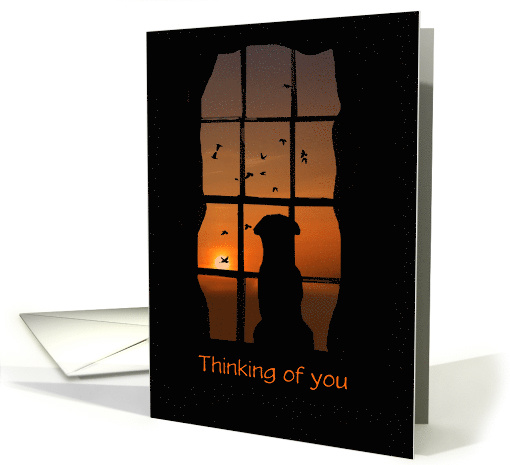 Thinking of you Dog in Window Customize card (1335418)