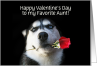 Happy Valentine’s Day Customizable Husky and Red Rose for Aunt card