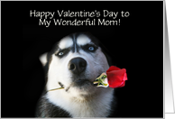 Cute and Fun Valentine’s Day For Wonderful Mom Mother card