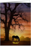 South Western Colors Horse and Tree Thank You Customizeable card