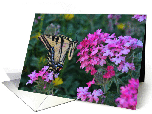 Spiritual Butterfly and Flowers Sympathy card (1375914)