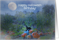 Cat and Witch Hat in Pumpkin Patch Birthday on Halloween Customizeable card