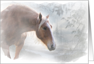 Season’s Greetings Palomino Horse in the Snow card