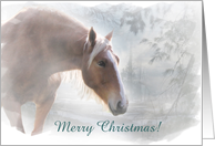 Merry Christmas Horse in the Snow Customizable card