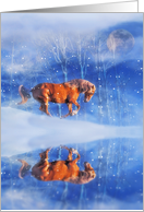 Season’s Greetings Horse Running in the Snow card