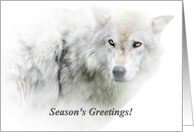 White Wolf Season’s Greetings card