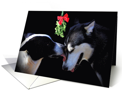Happy Holidays dogs and Mistletoe card (1411994)