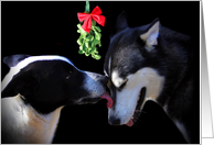 Happy Holidays dogs and Mistletoe card