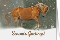 Season’s Greeting Christmas Horse card