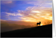 Sympathy Condolences Horse in Sunset card